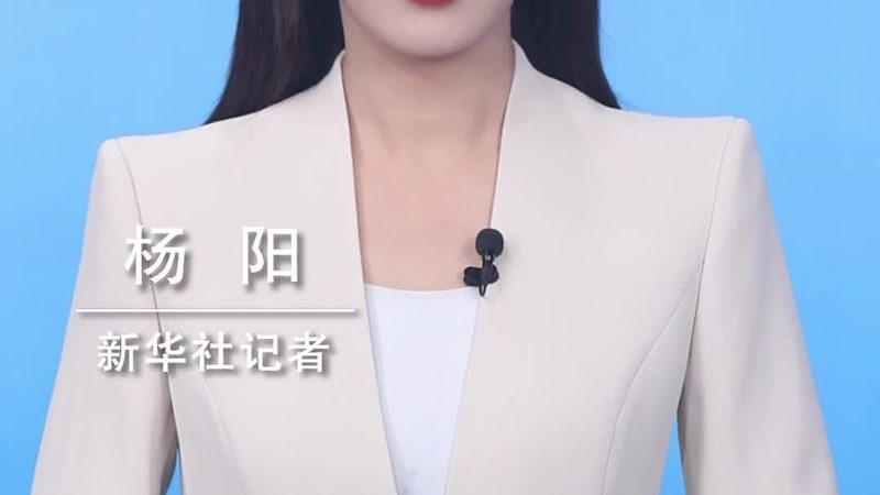 金融大数据分析系统：构建精准决策的基石**